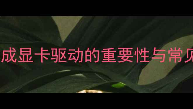 图片 主板集成显卡驱动的重要性与常见误区1