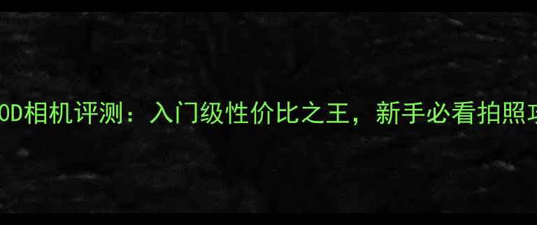 图片 佳能550D相机评测：入门级性价比之王，新手必看拍照攻略！2