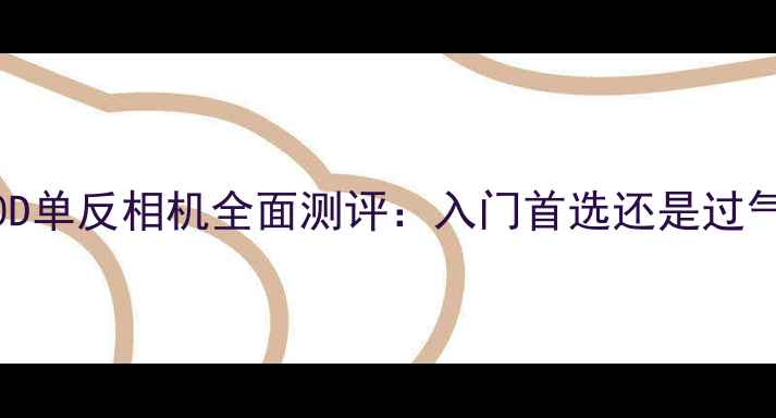 图片 佳能600D单反相机全面测评：入门首选还是过气王者？