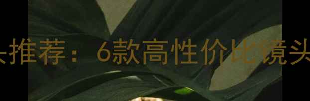 图片 佳能700D单反相机镜头推荐：6款高性价比镜头选购指南及适用场景1