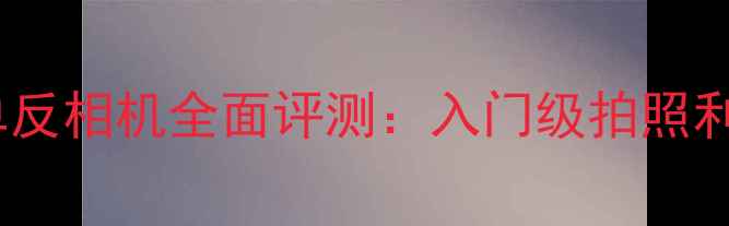 图片 佳能EOS310D单反相机全面评测：入门级拍照利器与选购指南