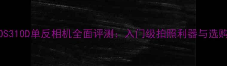 图片 佳能EOS310D单反相机全面评测：入门级拍照利器与选购指南1