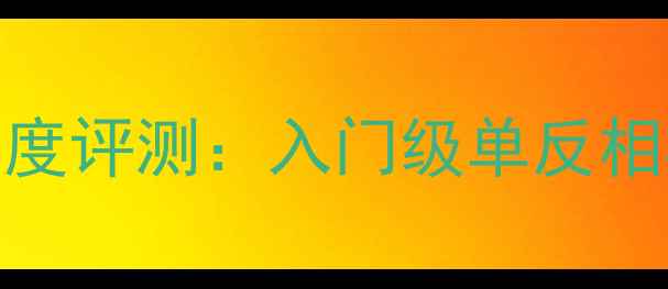 图片 佳能EOS600D深度评测：入门级单反相机选购全指南1