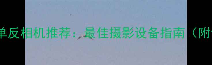 图片 佳能万元级单反相机推荐：最佳摄影设备指南（附详细评测）1