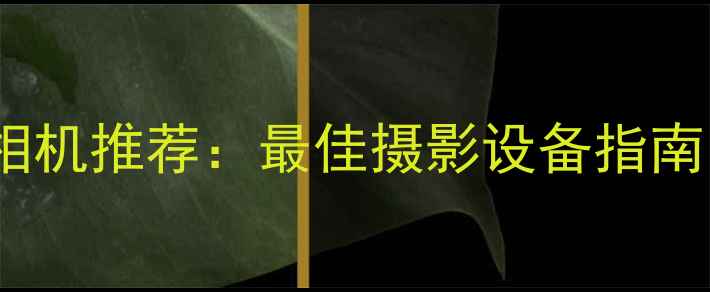 图片 佳能万元级单反相机推荐：最佳摄影设备指南（附详细评测）2