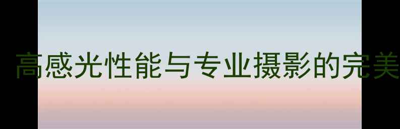 图片 佳能全画幅CCD数码相机：高感光性能与专业摄影的完美结合——选购指南与性能