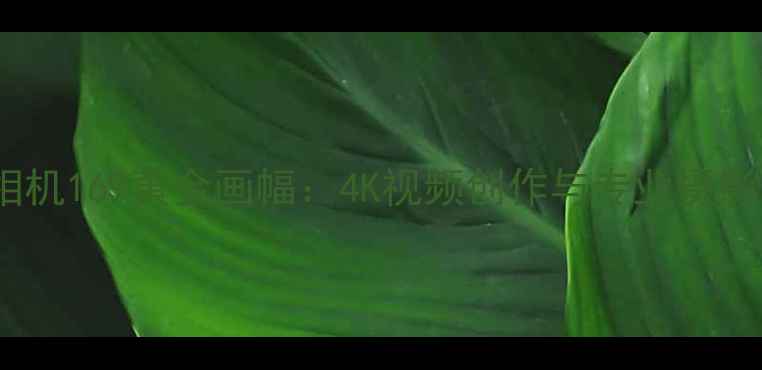 图片 佳能全画幅相机169黄金画幅：4K视频创作与专业摄影的完美平衡1