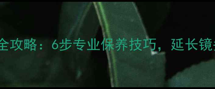 图片 佳能单反镜头深度清洁全攻略：6步专业保养技巧，延长镜头寿命并提升成像质量2