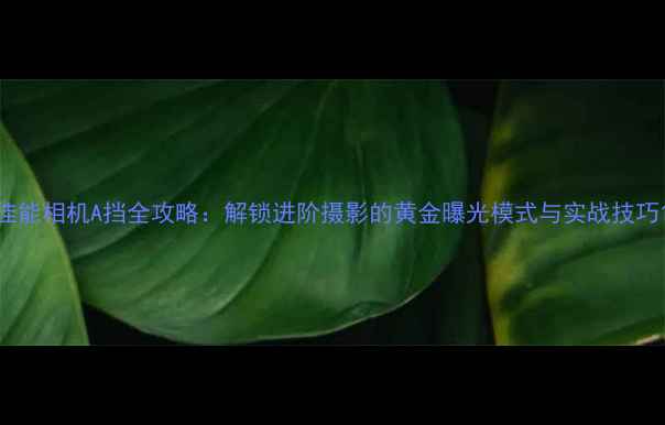 图片 佳能相机A挡全攻略：解锁进阶摄影的黄金曝光模式与实战技巧1