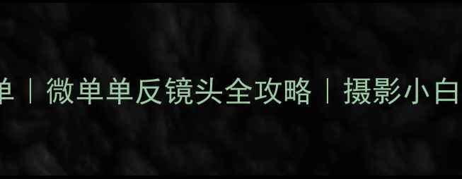 图片 佳能相机度必入清单｜微单单反镜头全攻略｜摄影小白到大师的进阶指南2