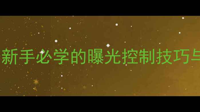 图片 佳能相机曝光锁定全攻略：新手必学的曝光控制技巧与实战应用（附操作步骤）2
