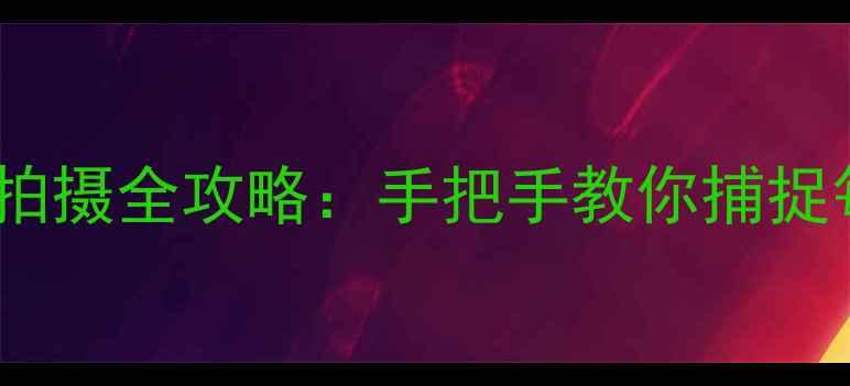 图片 佳能相机速度优先拍摄全攻略：手把手教你捕捉每一帧精彩瞬间✨1