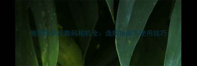 图片 俄罗斯单反数码相机全：选购指南与使用技巧