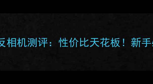 图片 俫卡全画幅单反相机测评：性价比天花板！新手必看入门指南1