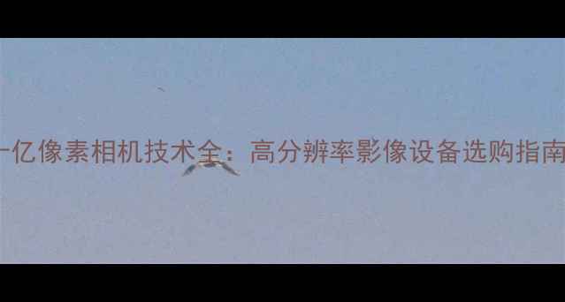 图片 十亿像素相机技术全：高分辨率影像设备选购指南2