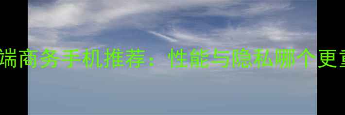 图片 十大高端商务手机推荐：性能与隐私哪个更重要？1