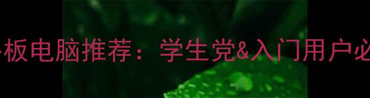 图片 千元性价比平板电脑推荐：学生党&入门用户必看选购指南2