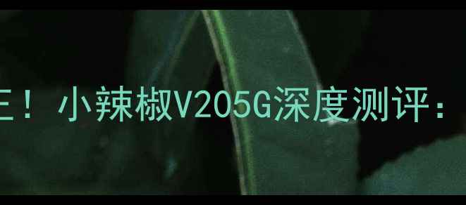图片 千元机性价比之王！小辣椒V205G深度测评：性能拍照双突破1