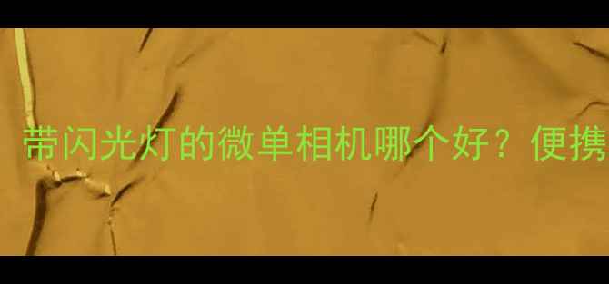 图片 半格相机推荐：带闪光灯的微单相机哪个好？便携拍摄神器测评1