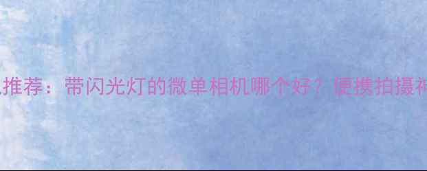 图片 半格相机推荐：带闪光灯的微单相机哪个好？便携拍摄神器测评2