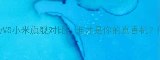 图片 华为VS小米旗舰对比：谁才是你的真香机？📱💥