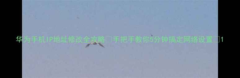 图片 华为手机IP地址修改全攻略🔥手把手教你5分钟搞定网络设置💡1