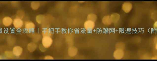 图片 华为手机流量设置全攻略｜手把手教你省流量+防蹭网+限速技巧（附图文教程）1