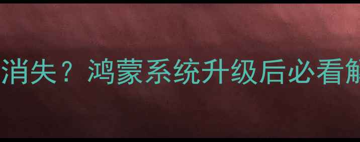 图片 华为手机相机消失？鸿蒙系统升级后必看解决指南📸🔧1