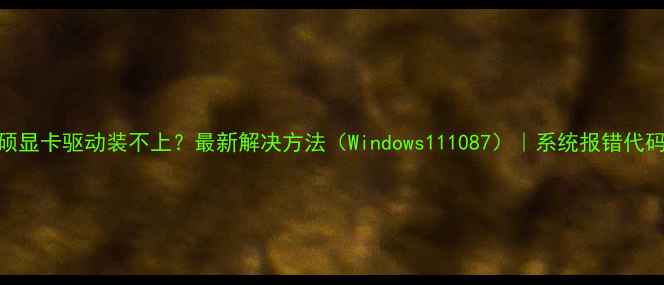 图片 华硕显卡驱动装不上？最新解决方法（Windows111087）｜系统报错代码全