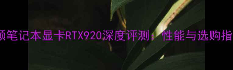 图片 华硕笔记本显卡RTX920深度评测：性能与选购指南2
