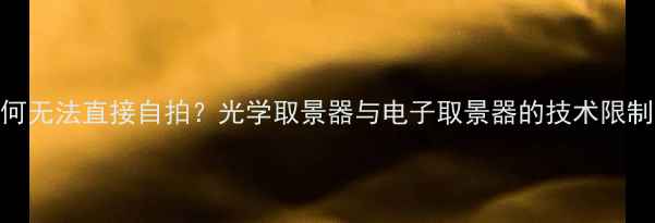 图片 单反相机为何无法直接自拍？光学取景器与电子取景器的技术限制及解决方案