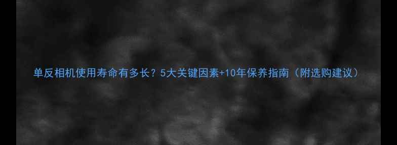 图片 单反相机使用寿命有多长？5大关键因素+10年保养指南（附选购建议）