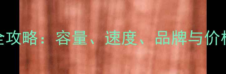 图片 单反相机储存卡选购全攻略：容量、速度、品牌与价格深度（附最新推荐）