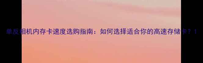 图片 单反相机内存卡速度选购指南：如何选择适合你的高速存储卡？1
