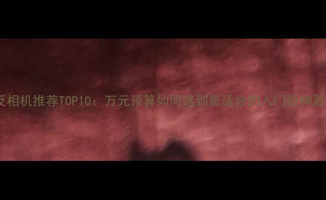 图片 单反相机推荐TOP10：万元预算如何选到最适合的入门级神器？1