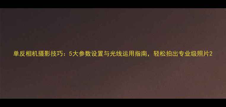 图片 单反相机摄影技巧：5大参数设置与光线运用指南，轻松拍出专业级照片2