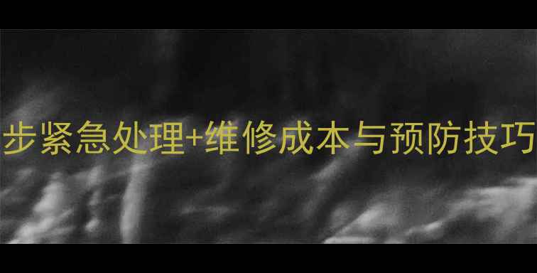 图片 单反相机摔了怎么办？5步紧急处理+维修成本与预防技巧（附故障排查全指南）2