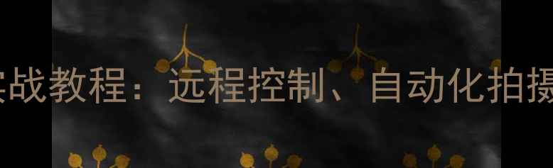 图片 单反相机电脑控制实战教程：远程控制、自动化拍摄与软件设置全流程2