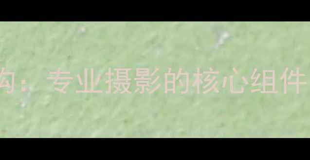 图片 单反相机结构：专业摄影的核心组件与工作原理1