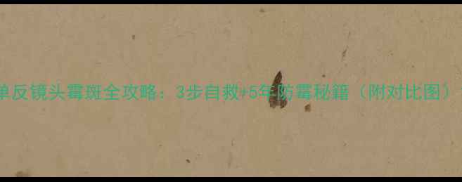 图片 单反镜头霉斑全攻略：3步自救+5年防霉秘籍（附对比图）1