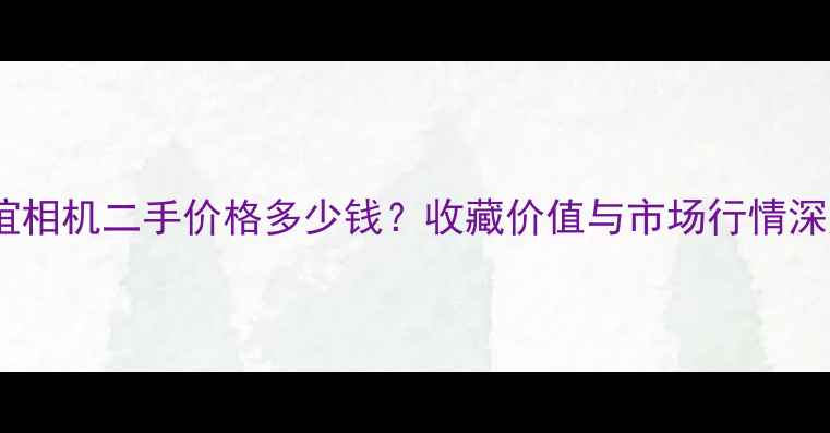图片 友谊相机二手价格多少钱？收藏价值与市场行情深度1