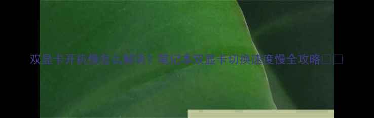 图片 双显卡开机慢怎么解决？笔记本双显卡切换速度慢全攻略💻✨