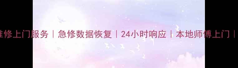 图片 合肥电脑维修上门服务｜急修数据恢复｜24小时响应｜本地师傅上门｜价格透明1