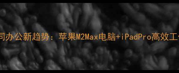 图片 多屏协同办公新趋势：苹果M2Max电脑+iPadPro高效工作指南1