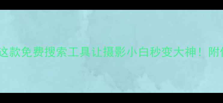 图片 大华相机全攻略这款免费搜索工具让摄影小白秒变大神！附保姆级使用教程1