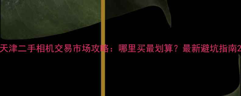 图片 天津二手相机交易市场攻略：哪里买最划算？最新避坑指南2