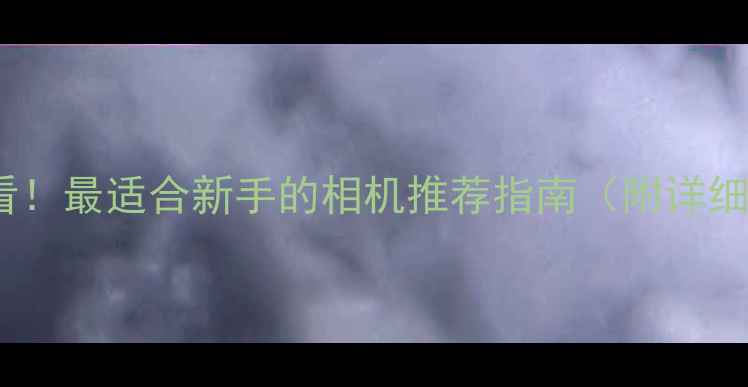 图片 女生必看！最适合新手的相机推荐指南（附详细对比）1