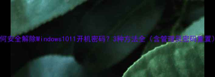 图片 如何安全解除Windows1011开机密码？3种方法全（含管理员密码重置）1