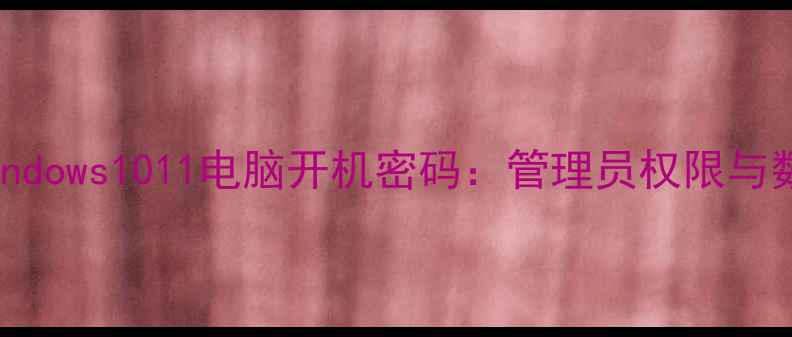 图片 如何安全解除Windows1011电脑开机密码：管理员权限与数据恢复全攻略1