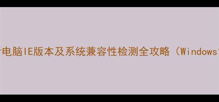 图片 如何查看电脑IE版本及系统兼容性检测全攻略（Windows101178）